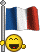 drapeau français 2